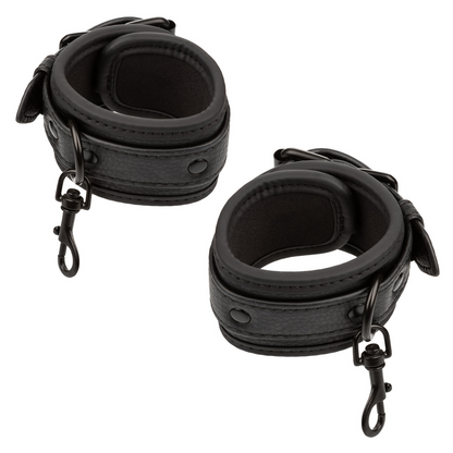 Bed Restraints